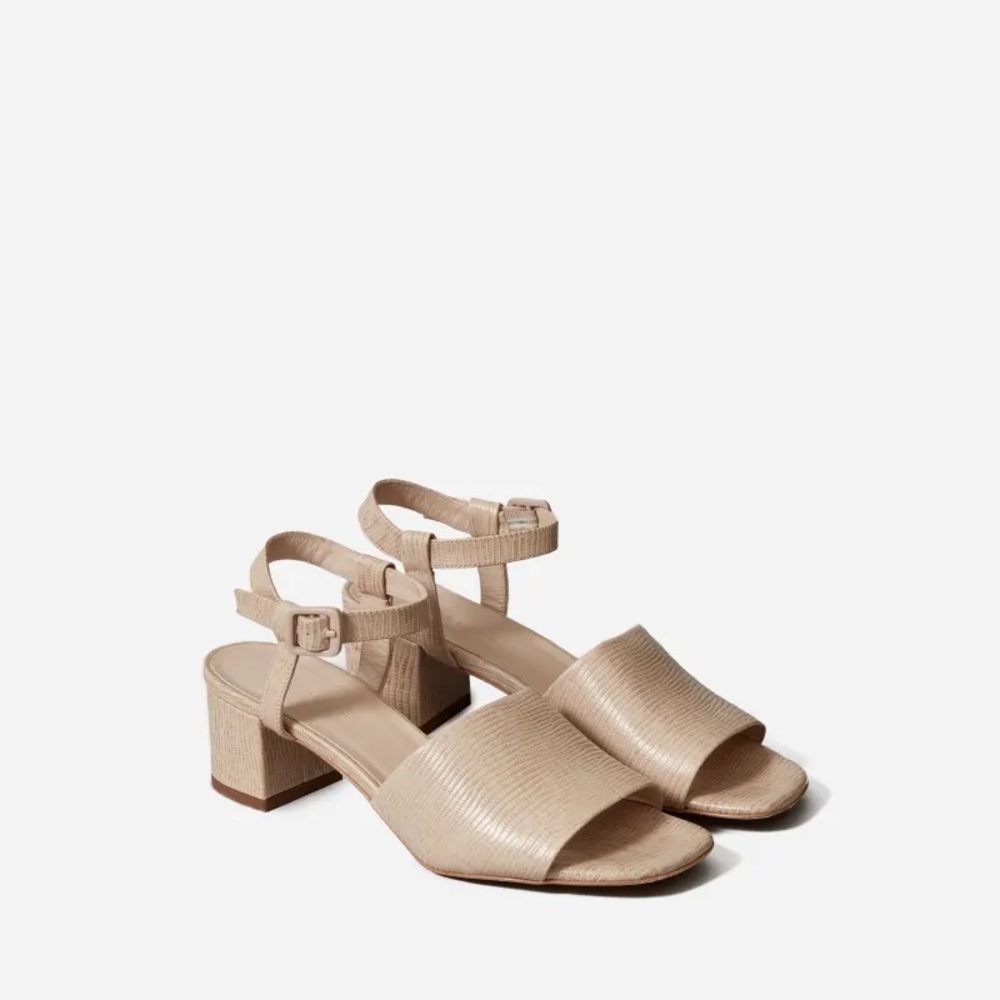 Everlane Block Heel Sandal 8